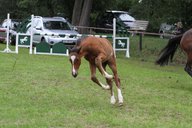 2011-06-30 09-42-00 2