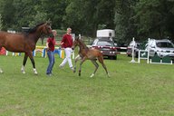 2011-06-30 09-42-59 1