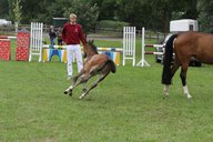 2011-06-30 09-43-04 3