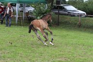 2011-06-30 09-43-15 4