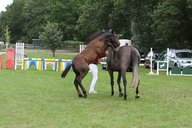 2011-06-30 09-49-24 1