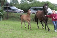 2011-06-30 09-52-32 1