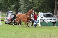 2011-06-30 10-08-13 1