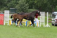 2011-06-30 10-21-24 2