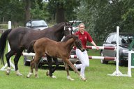 2011-06-30 10-21-58 2