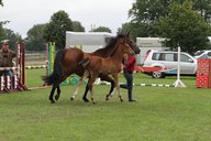 2011-06-30 10-33-25 1