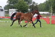 2011-06-30 10-33-25 2