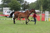 2011-06-30 10-33-26 1