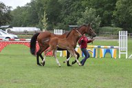 2011-06-30 10-33-26 4